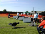 Flyball