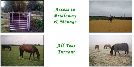 Stables at Sutton Fields