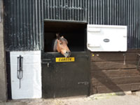 Stables available